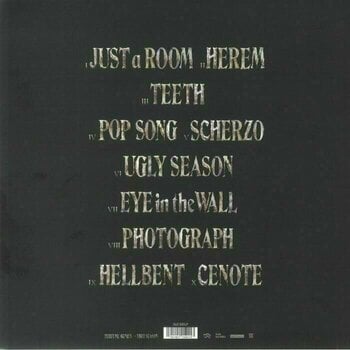 LP Perfume Genius - Ugly Season (2 LP) - 2