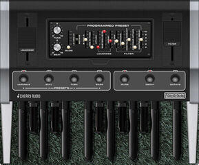VST Instrument Studio Software Cherry Audio Lowdown Bass Synthesizer (Digital product) - 2