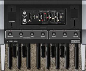 VST Instrument Studio Software Cherry Audio Lowdown Bass Synthesizer (Digital product) - 3