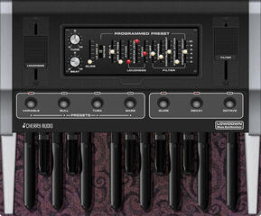 VST Instrument Studio Software Cherry Audio Lowdown Bass Synthesizer (Digital product) - 6