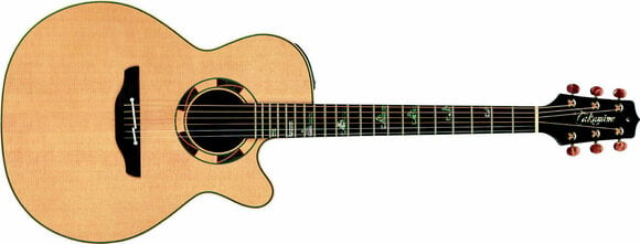 Elektroakustická gitara Jumbo Takamine TSF48C - 3