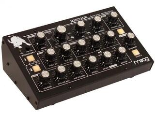 Synthesizer MOOG Minitaur Synthesizer - 2