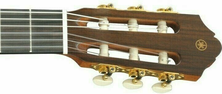 Niveau de compétence