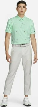 Polo Shirt Nike Dri-Fit Player Summer Mens Polo Shirt Mint Foam/Brushed Silver 2XL - 6