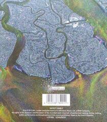 Грамофонна плоча alt-J - An Awesome Wave (White Coloured) (LP) - 2