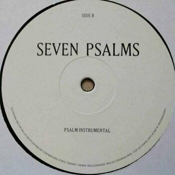 Vinyl Record Nick Cave - Seven Psalms (10" Vinyl) (EP) - 3