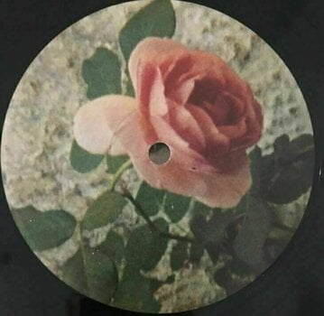 Vinyl Record Angel Olsen - Big Time (2 LP) - 2