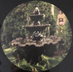 Vinyl Record Angel Olsen - Big Time (2 LP) - 3