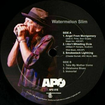 Vinylskiva Watermelon Slim - Watermelon Slim (LP) - 2