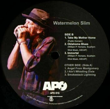 Vinyl Record Watermelon Slim - Watermelon Slim (LP) - 3