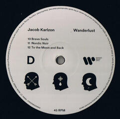 Vinyl Record Jacob Karlzon - Wanderlust (LP) - 4