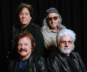 LP The Doobie Brothers - Liberté (LP) - 1