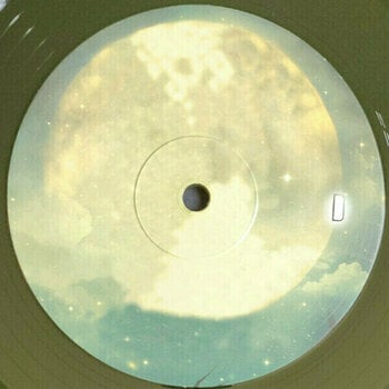 Disque vinyle Danny Elfman - The World Of Tim Burton (2 LP) - 6