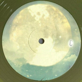Vinyl Record Danny Elfman - The World Of Tim Burton (2 LP) - 5