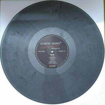 Disco de vinilo Guano Apes - Rareapes (180g) (Gatefold) (Silver & Black Marbled Vinyl) (2 LP) - 6