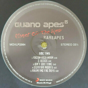 Disco de vinil Guano Apes - Rareapes (180g) (Gatefold) (Silver & Black Marbled Vinyl) (2 LP) - 3