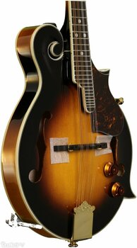 Mandoliini Fender FM63 SE Sunburst - 5