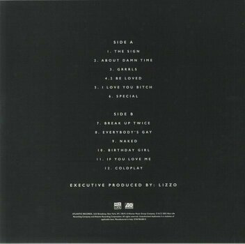 Disc de vinil Lizzo - Special (LP) - 5