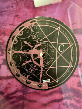 Vinylplade Slipknot - Vol. 3 The Subliminal Verses (Violet Vinyl) (180g) (2 LP) - 4
