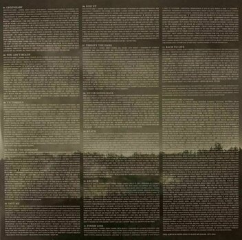 Hanglemez Skillet - Victorious (LP) - 5