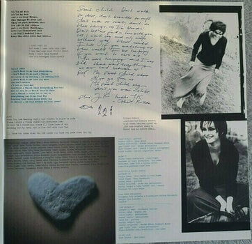 LP deska Jana Kirschner - V cudzom meste (2 LP) - 5
