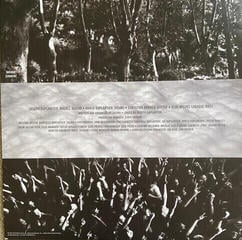 Vinylplade Gojira - Live At Brixton Academy (RSD 2022) (2 LP) - 5