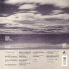Hanglemez Jack Johnson - Meet The Moonlight (LP) - 3