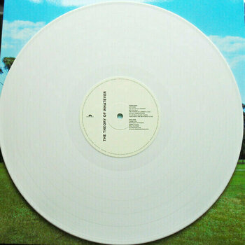 LP deska Jamie T - The Theory Of Whatever (Limited Standard Coloured Vinyl) (LP) - 4