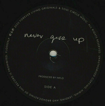 Δίσκος LP Chronixx - Never Give Up (10" Vinyl) - 3