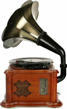 Retro turntable
 Ricatech RMC350 Music Center with Horn - 3