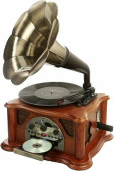 Retro turntable
 Ricatech RMC350 Music Center with Horn - 4
