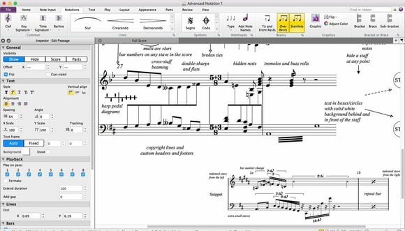 Software de notação AVID AudioScore Ultimate (Produto digital) - 3
