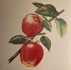 LP platňa The Rolling Stones - Undercover (Remastered) (LP) - 4