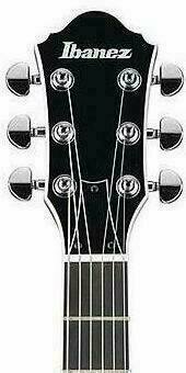 Elektrische gitaar Ibanez DN 300 Black - 2