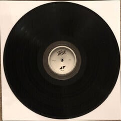 Schallplatte Avicii - TRUE (LP) - 2