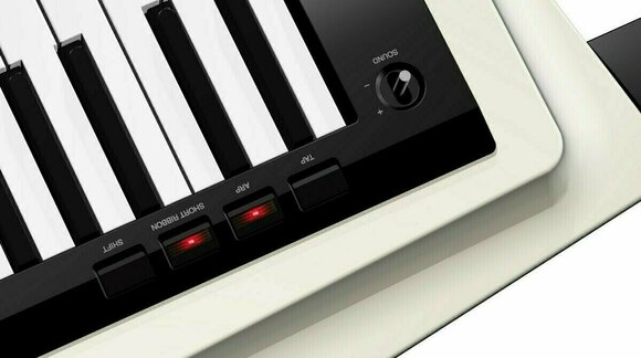 Synthesizer Korg RK-100S Keytar White - 4