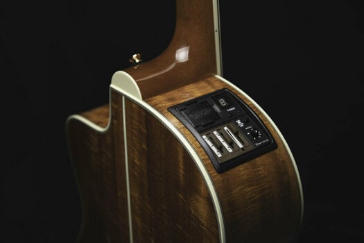 Electro-acoustic guitar Takamine LTD2022 Natural - 10