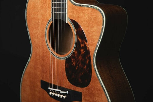 Electro-acoustic guitar Takamine LTD2022 Natural - 11