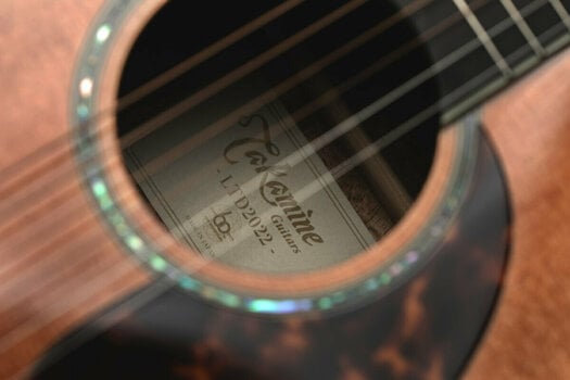 Electro-acoustic guitar Takamine LTD2022 Natural - 21