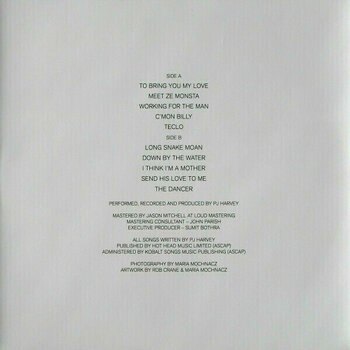 Disque vinyle PJ Harvey - To Bring You My Love - Demos (LP) - 5