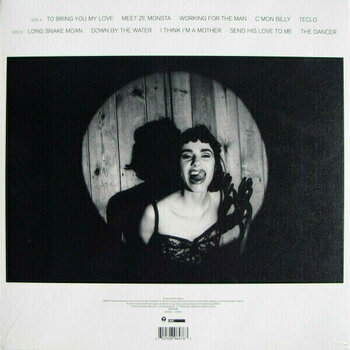 Δίσκος LP PJ Harvey - To Bring You My Love - Demos (LP) - 6