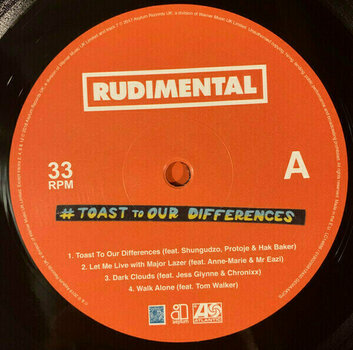 Vinyl Record Rudimental - Toast To Our Differences (LP) - 2