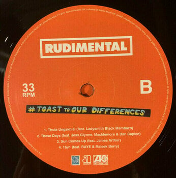 Disco de vinilo Rudimental - Toast To Our Differences (LP) - 3