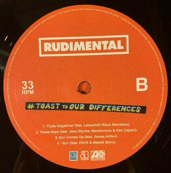 Vinylplade Rudimental - Toast To Our Differences (LP) - 3