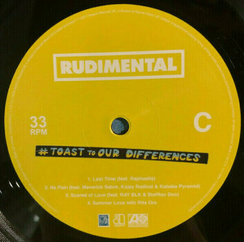 Vinyl Record Rudimental - Toast To Our Differences (LP) - 4