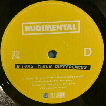 Vinyl Record Rudimental - Toast To Our Differences (LP) - 5