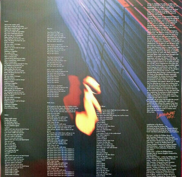 Disque vinyle Ladyhawke - Time Flies (LP) - 3