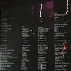 Vinylplade Ladyhawke - Time Flies (LP) - 3