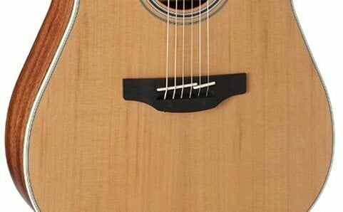 electro-acoustic guitar Takamine GD20CE Natural Satin - 3
