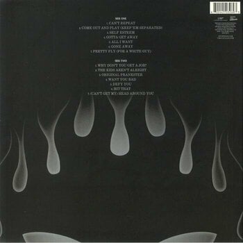 Vinylskiva The Offspring - Greatest Hits (LP) - 2